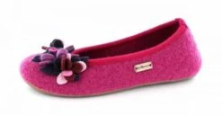 Haflinger Everest Marie Rosa