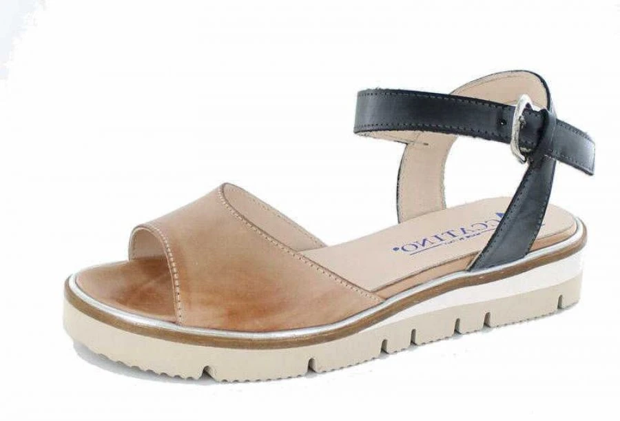 Accatino A340 1 Accatino A340