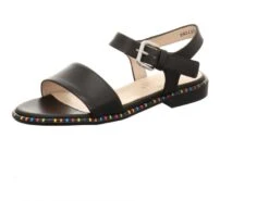 Titelseite 37 Peter Kaiser Roana 12501