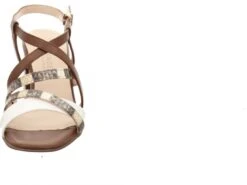 Peter Kaiser Pava 08561 7 Peter Kaiser Pava 08561 -PETER KAISER Shop 017967 3