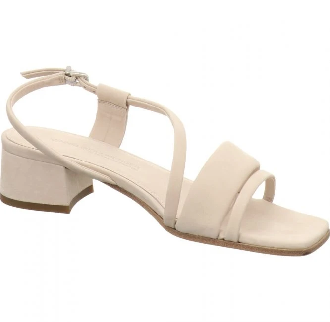 Kennel Und Schmenger 38560 354 Salvia 2 Kennel Und Schmenger 38560 354 Salvia – Bild 2