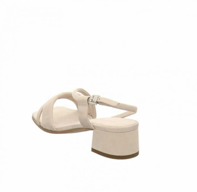 Kennel Und Schmenger 38560 354 Salvia 4 Kennel Und Schmenger 38560 354 Salvia – Bild 4