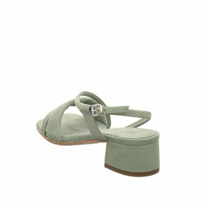 Kennel Und Schmenger 38560 361 Salvia 4 Kennel Und Schmenger 38560 361 Salvia – Bild 4