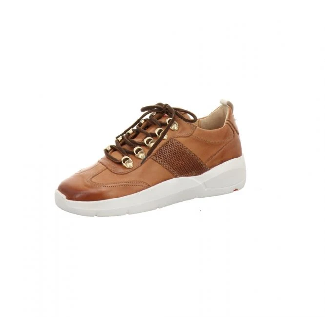 Lloyd Alani Cognac 1 Lloyd Alani Cognac