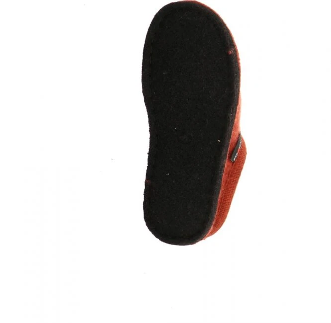 Haflinger Filzpantoffel Lissy Cats 5 Haflinger Filzpantoffel Lissy Cats – Bild 5