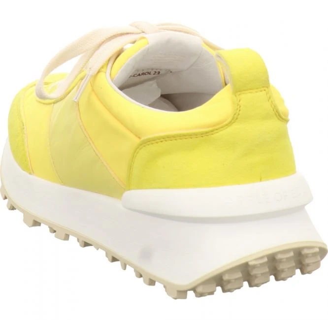 Apple Of Eden Carol 23 Gelb 4 Apple Of Eden Carol 23 Gelb – Bild 4