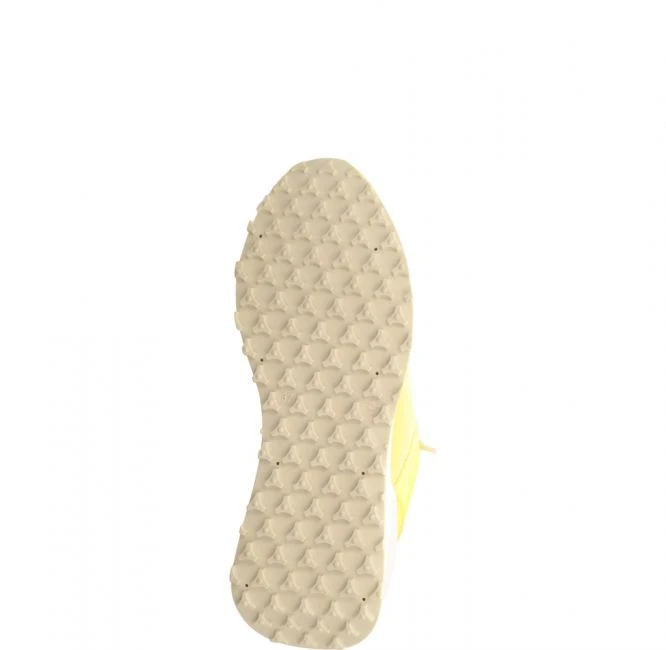 Apple Of Eden Carol 23 Gelb 5 Apple Of Eden Carol 23 Gelb – Bild 5