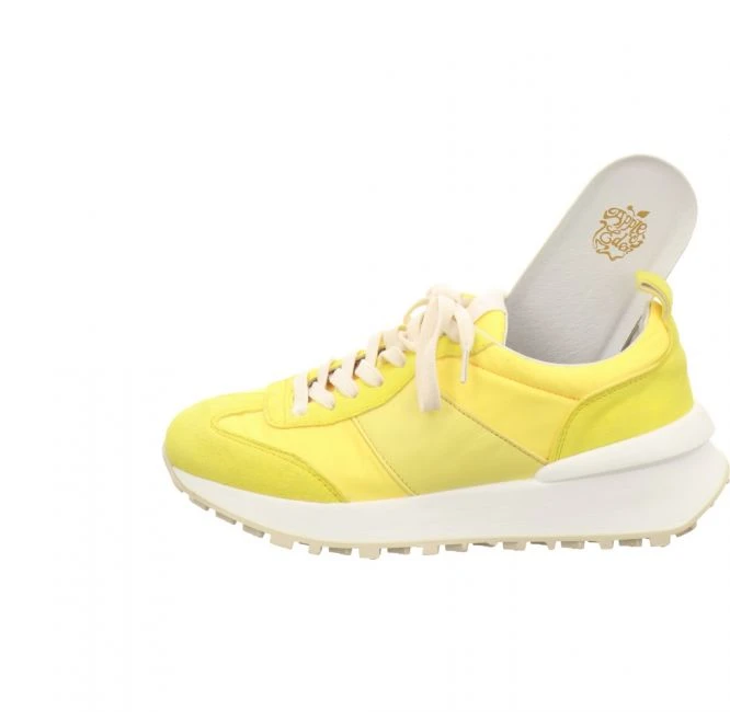 Apple Of Eden Carol 23 Gelb 6 Apple Of Eden Carol 23 Gelb – Bild 6