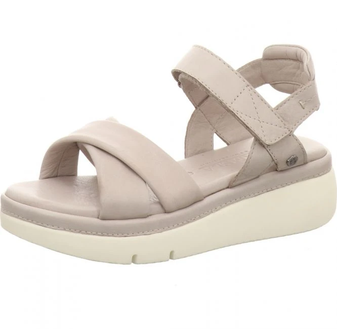 Carmela 6859603 1 Carmela 6859603