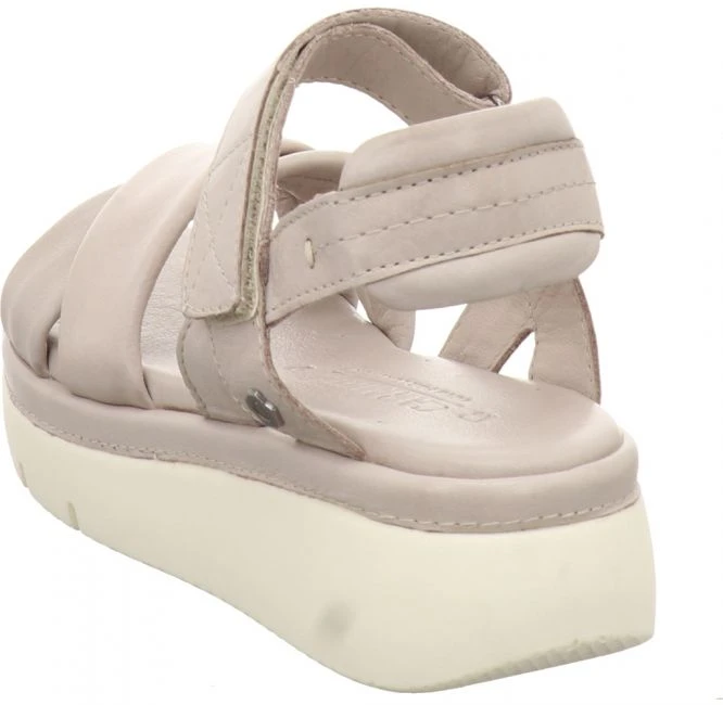 Carmela 6859603 4 Carmela 6859603 – Bild 4