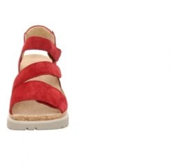 Hartjes 1705/73 8 Hartjes 1705/73 -PETER KAISER Shop 020153 3