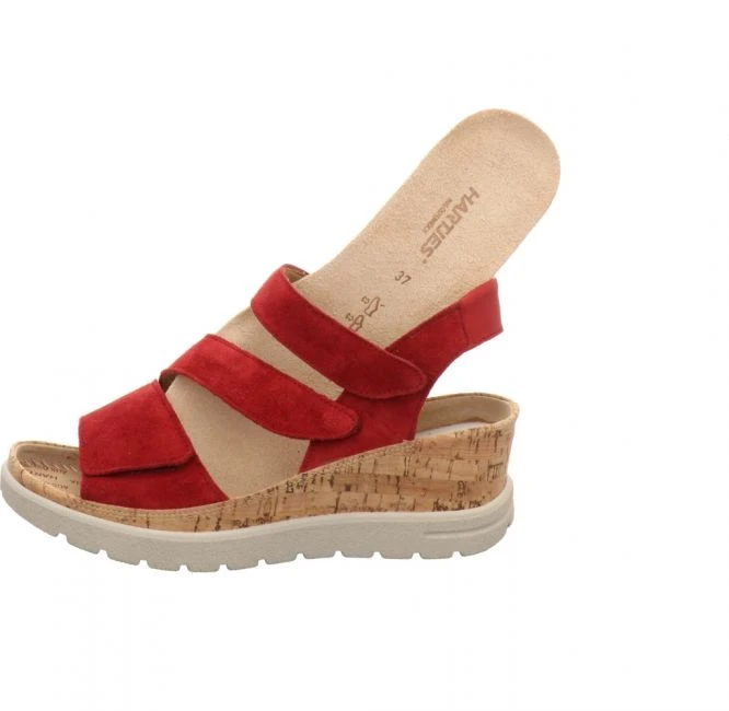 Hartjes 1705/73 6 Hartjes 1705/73 – Bild 6