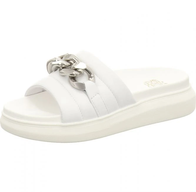 Apple Of Eden Erica 2 1 Apple Of Eden Erica 2