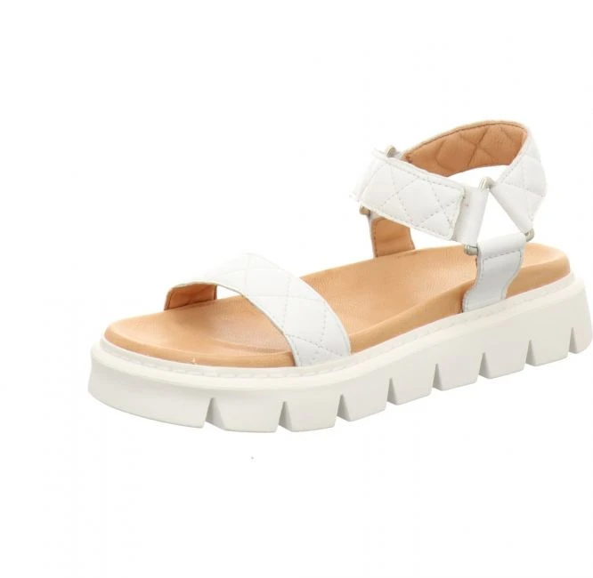 Apple Of Eden Greyce 2 1 Apple Of Eden Greyce 2