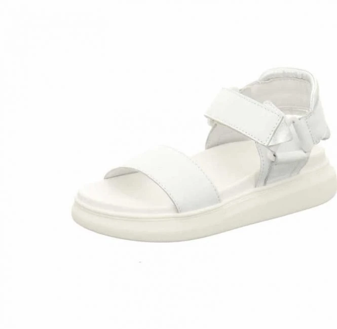 Apple Of Eden Elsa 2 1 Apple Of Eden Elsa 2