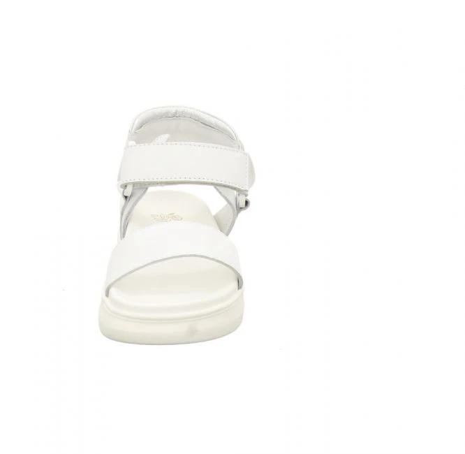 Apple Of Eden Elsa 2 3 Apple Of Eden Elsa 2 – Bild 3