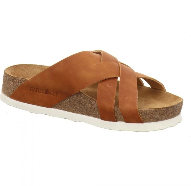 Haflinger Bo Caramel 2 Haflinger Bo Caramel – Bild 2