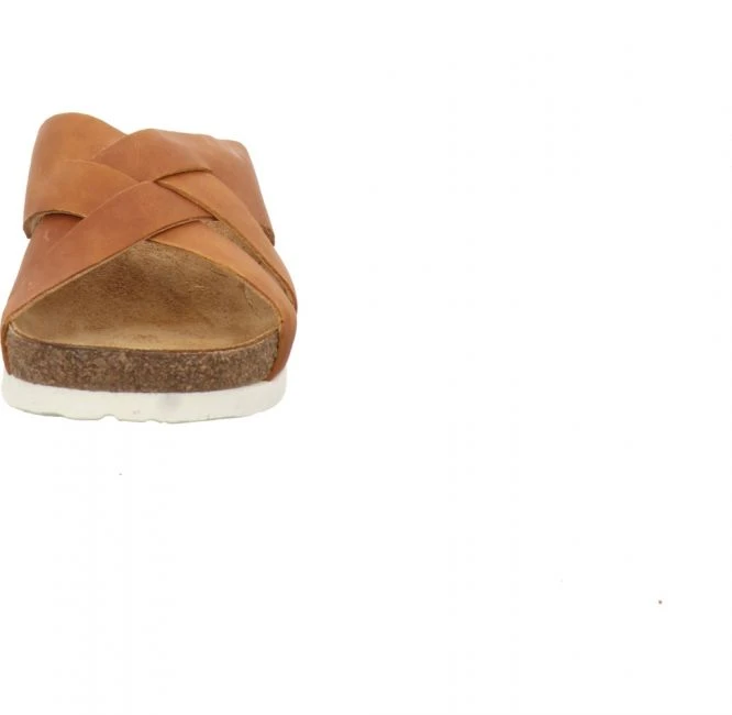 Haflinger Bo Caramel 3 Haflinger Bo Caramel – Bild 3