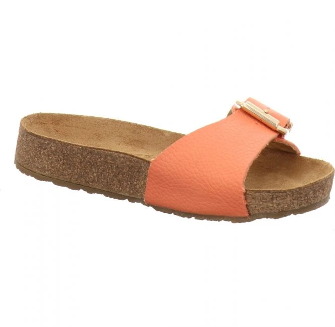 Haflinger Bio Gina Koralle 2 Haflinger Bio Gina Koralle – Bild 2