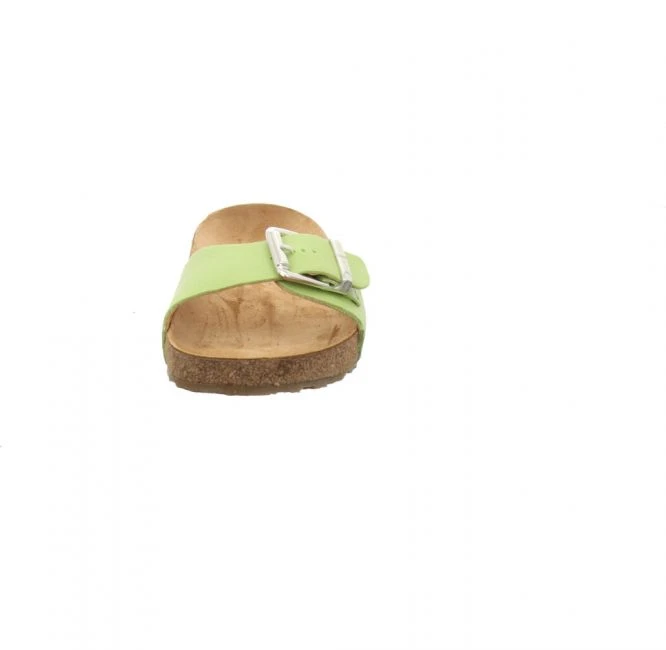 Haflinger Bio Gina Lime 3 Haflinger Bio Gina Lime – Bild 3