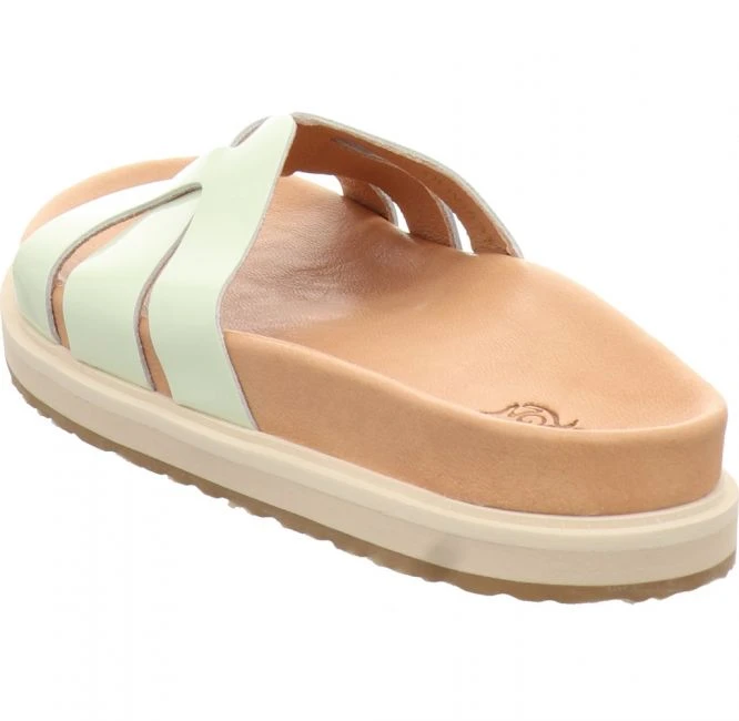 Apple Of Eden Olivia 35 4 Apple Of Eden Olivia 35 – Bild 4