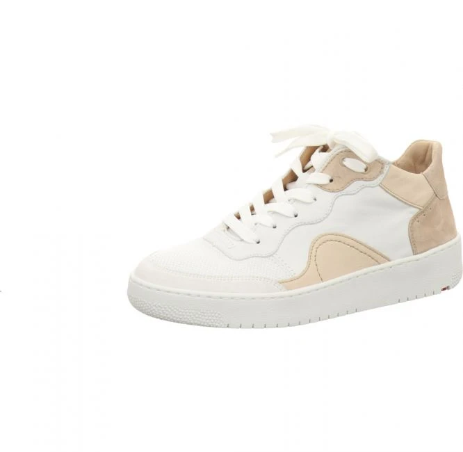 Lloyd 12 712 31 Weis 1 Lloyd 12 712 31 Weis