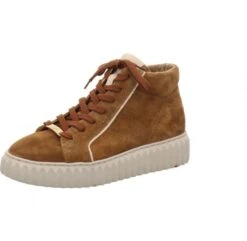 Lloyd 22 231 31 Braun