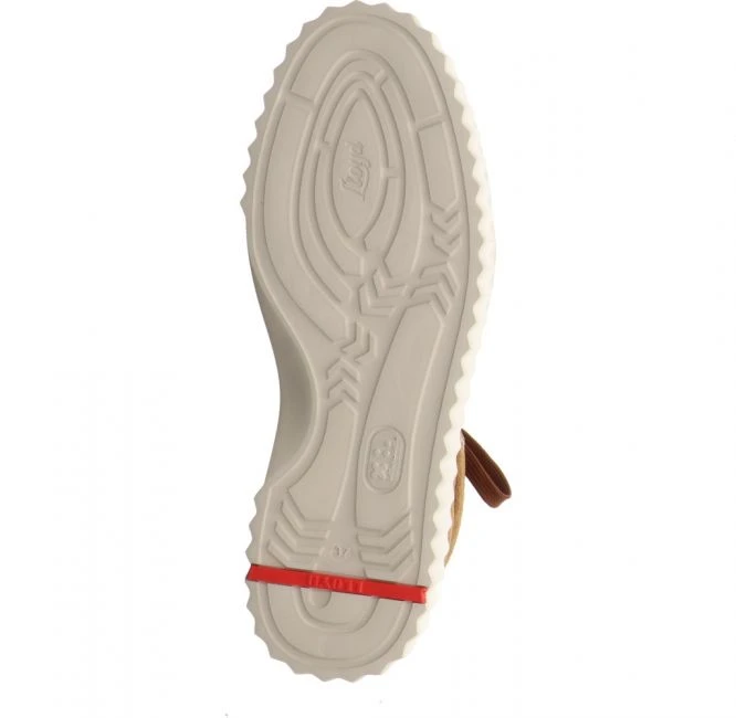 Lloyd 22 231 31 Braun 5 Lloyd 22 231 31 Braun – Bild 5