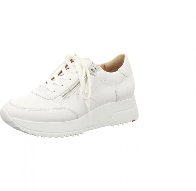 Lloyd 11 775 01 1 Lloyd 11 775 01