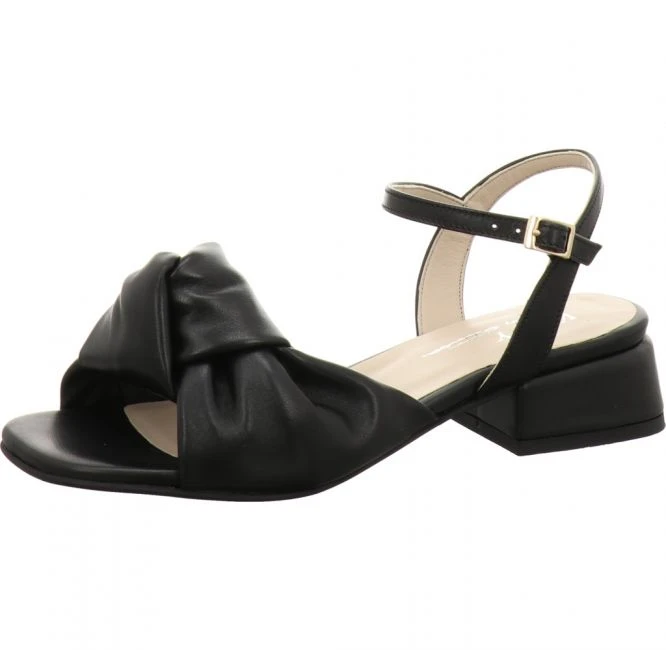 Attica Flora 1 Attica Flora