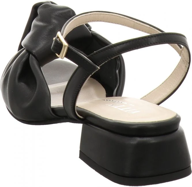 Attica Flora 4 Attica Flora – Bild 4