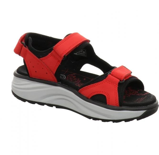 Joya Komodo Red 2 Joya Komodo Red – Bild 2