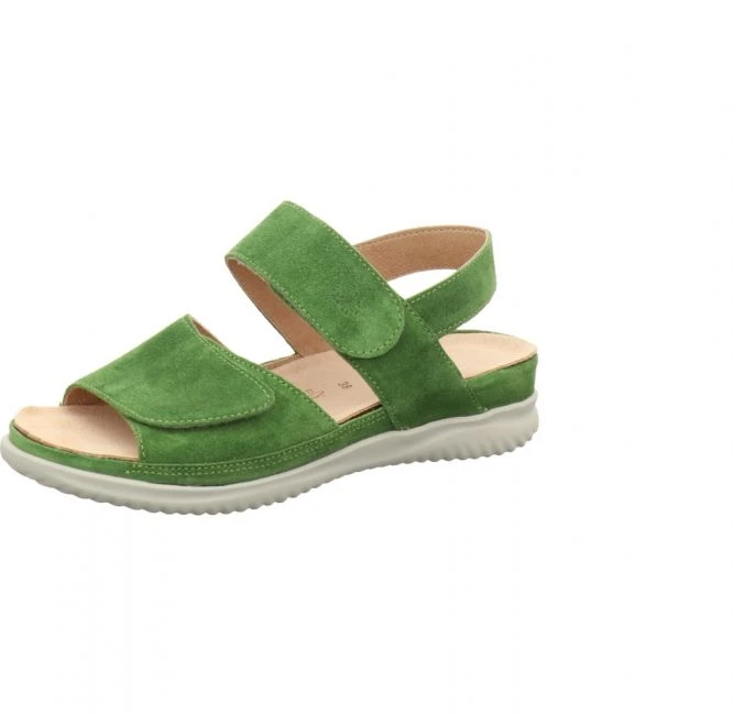 Hartjes 1137/99 Grün 1 Hartjes 1137/99 Grün