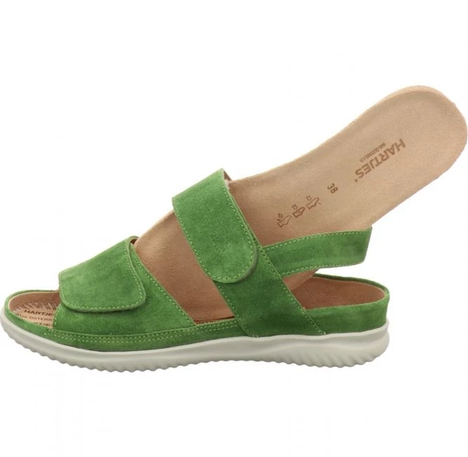 Hartjes 1137/99 Grün 6 Hartjes 1137/99 Grün – Bild 6